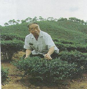 Wu Zhengyi Wu Zhengyi