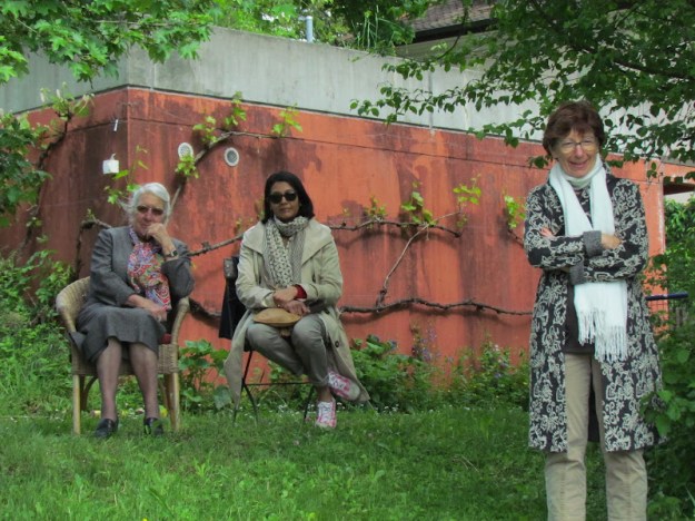 牡丹花見 Päonie Hanami