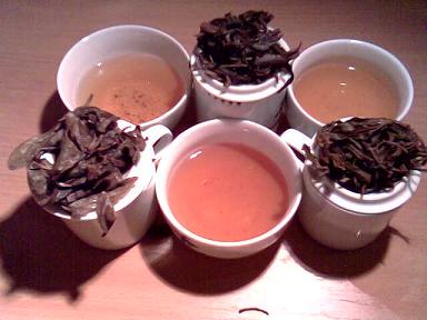 Degustation mit Dancong