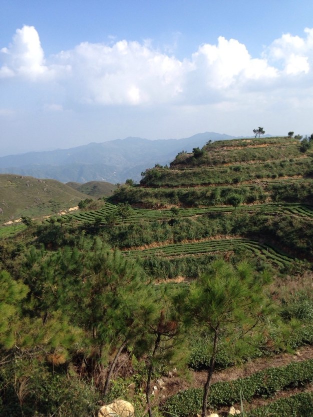 Reise nach Anxi - 3 Bilder