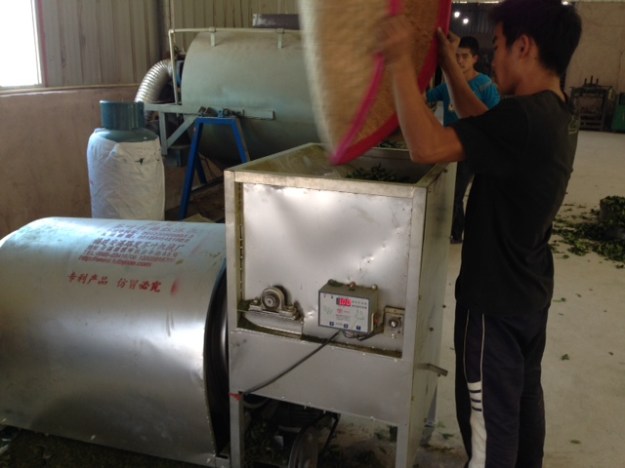 Die Maschine "der grüne Oolong- Macher"