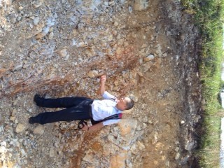 Der ideale Boden fuer Tee