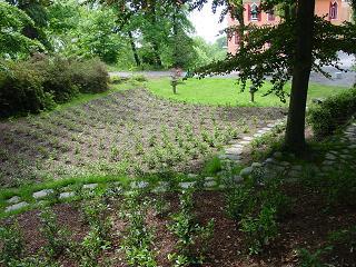 Monte Verita Teegarten