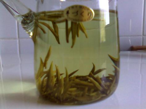 Junshan Yinzhen normal Junshan Yinzhen normal