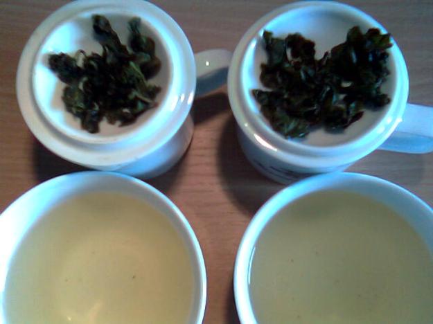 Degustation zwei Jade Oolong aus Mingjian