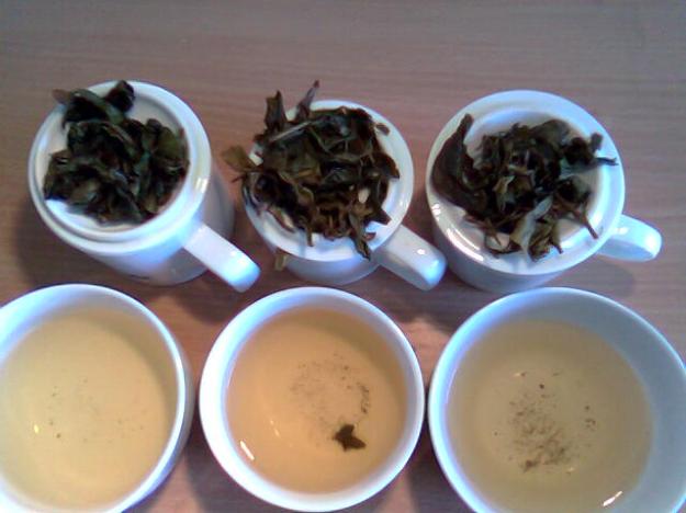 Degustation von Jade Oolong (Cui Yu Wulong)