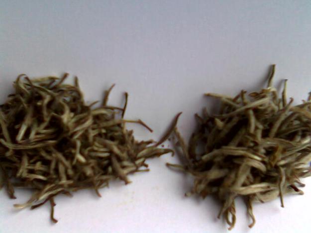 Zwei Yinzhen Baihao