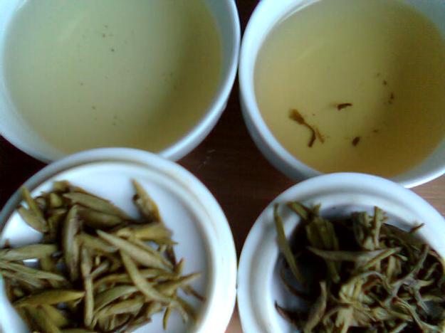 Degustation von zwei Yinzhen Baihao aus Zhenghe