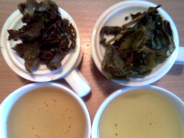 Eine Degustation mit Huang Jin Gui 