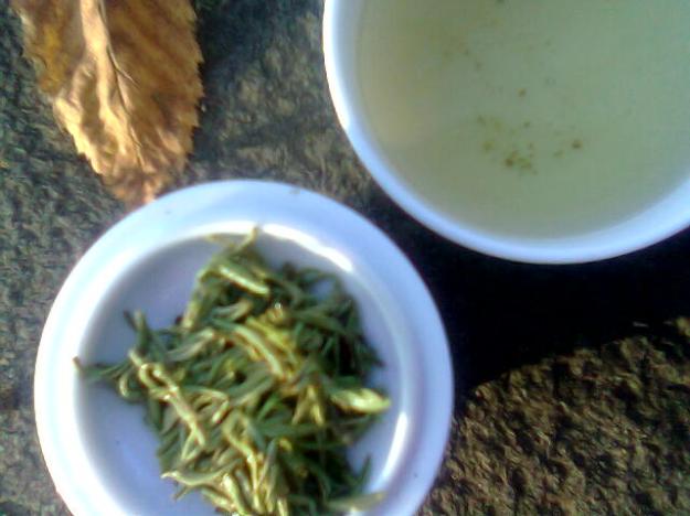 Degustation von Junshan Maojian