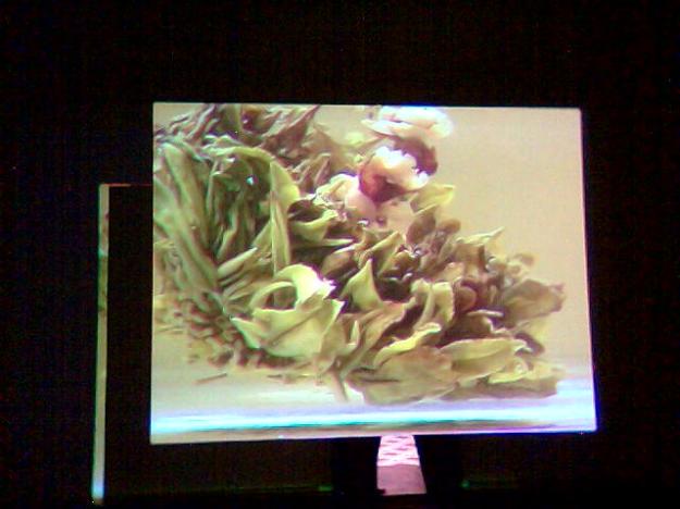 Tee, nicht nur ein Phänomen