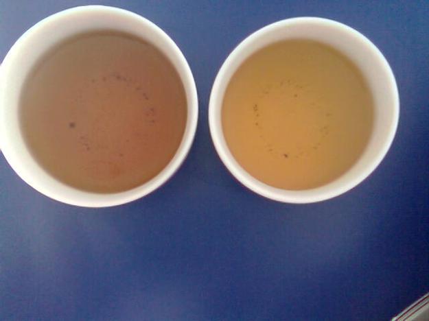 Degustation von Tie guan yin