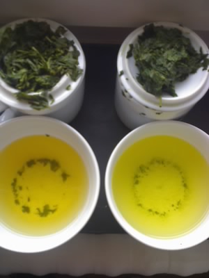 Degustation Gyokuro Uji