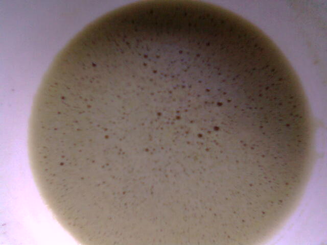 Matcha oder nur grüner Teepulver