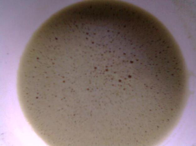 Matcha oder nur grüner Teepulver