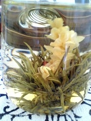 Jasmin Drachen Perle