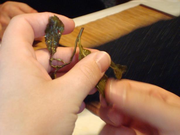 Teeliste am Teekurs Formosa Oolong Teeliste am Teekurs Formosa Oolong