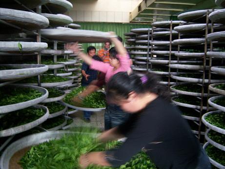 Teereise im April 2009