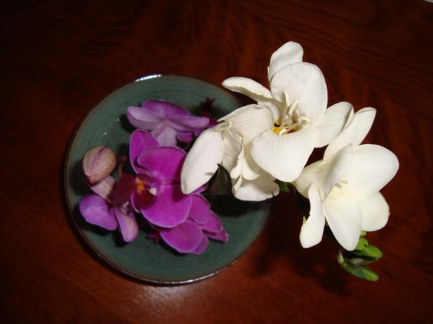 Seltende Orchideen und Freesie