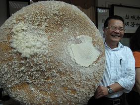 Was siehst Du? I Was siehst Du? I