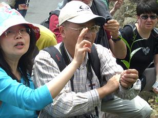 ged&uuml;nntest Blatt