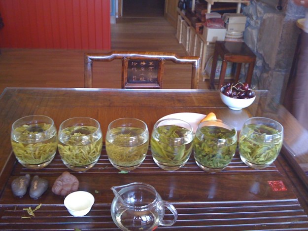 Reise ins Grün Reise ins Grün