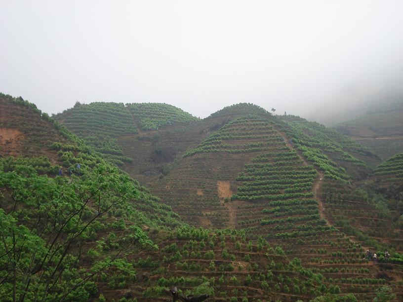 Post aus den Bergen Guangdongs