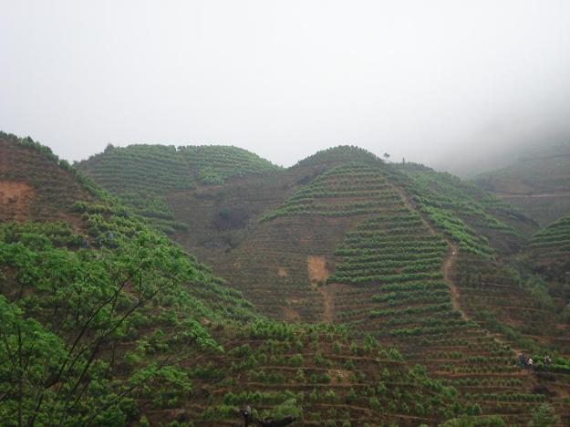 Post aus den Bergen Guangdongs