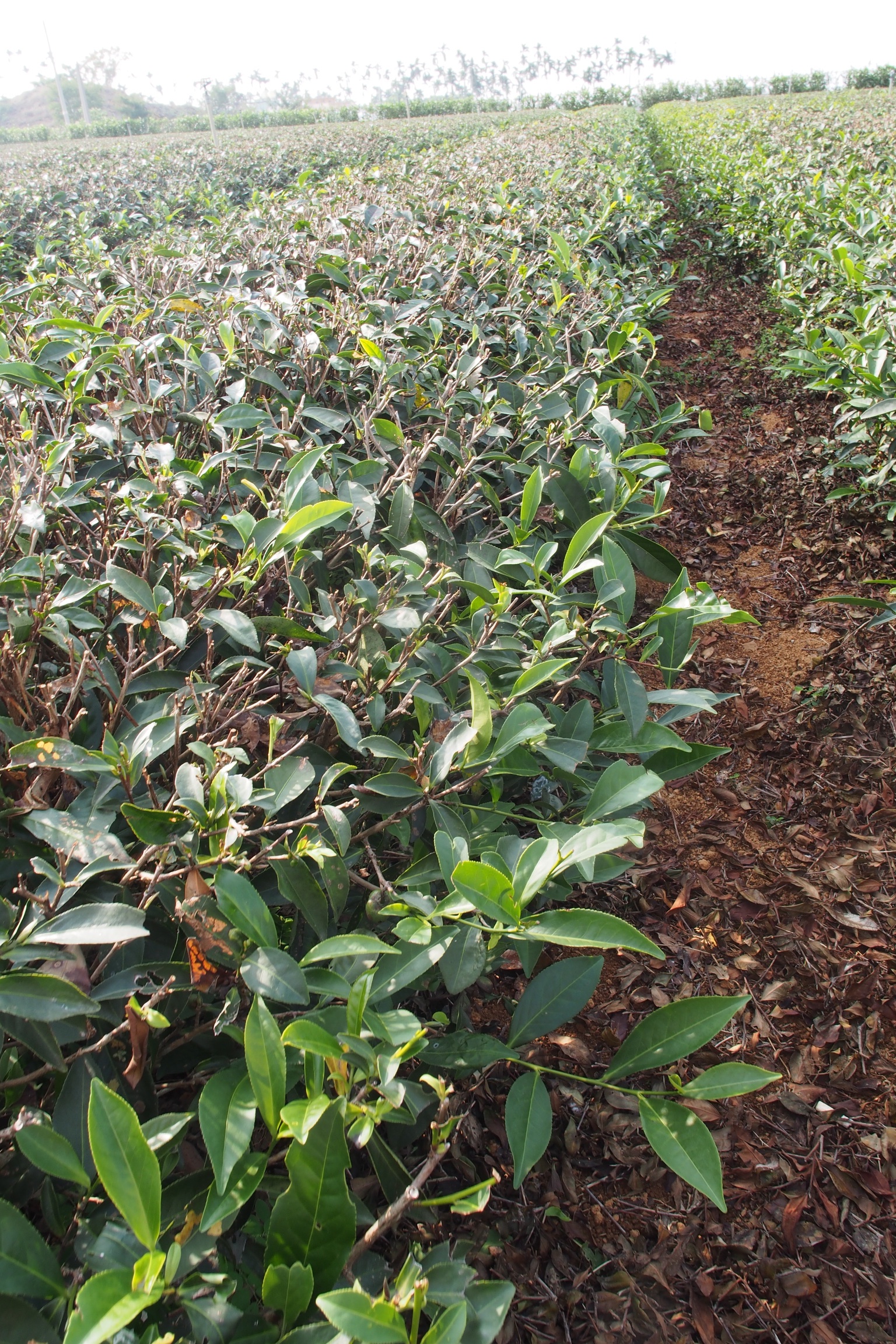 01a72ff8c1234f42653f5c5fa256727fc0f9ff07f9